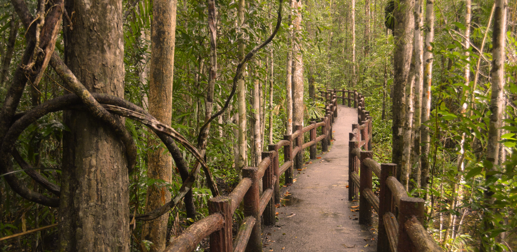 Design ohne Titel (17)